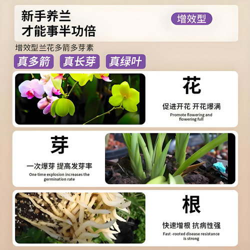 兰花多箭素爆芽素专用营养液剑催花延治黄叶肥料水溶肥开花植物 - 图1