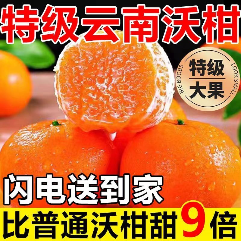 云南高山纯甜沃柑1000g±100g/份新鲜当季水果橘子蜜桔砂糖 - 图1