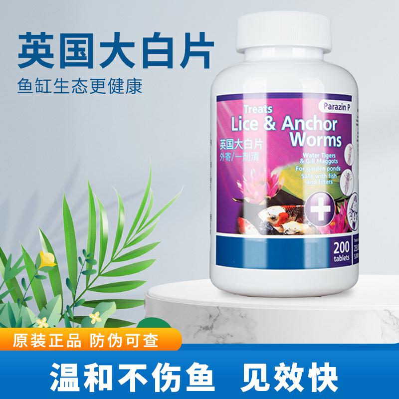 英国正品进口内寄大白片外寄龙鱼魟热带鱼头洞肠炎白点病观赏鱼药 - 图0