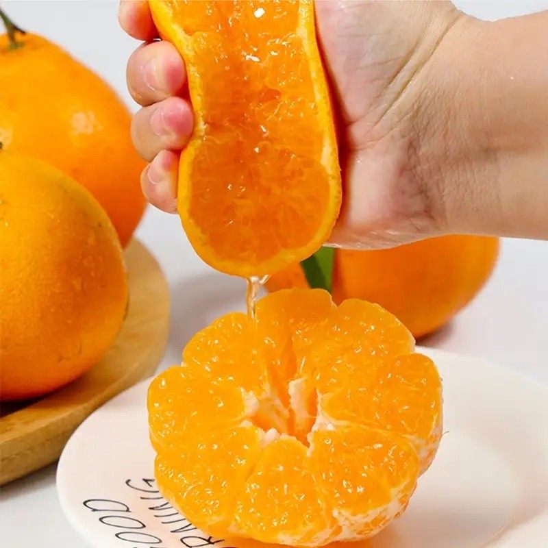 不知火丑橘新鲜水果四川柑橘子2026年整箱包邮,淘宝优惠券,粉丝福利购,淘宝优惠卷