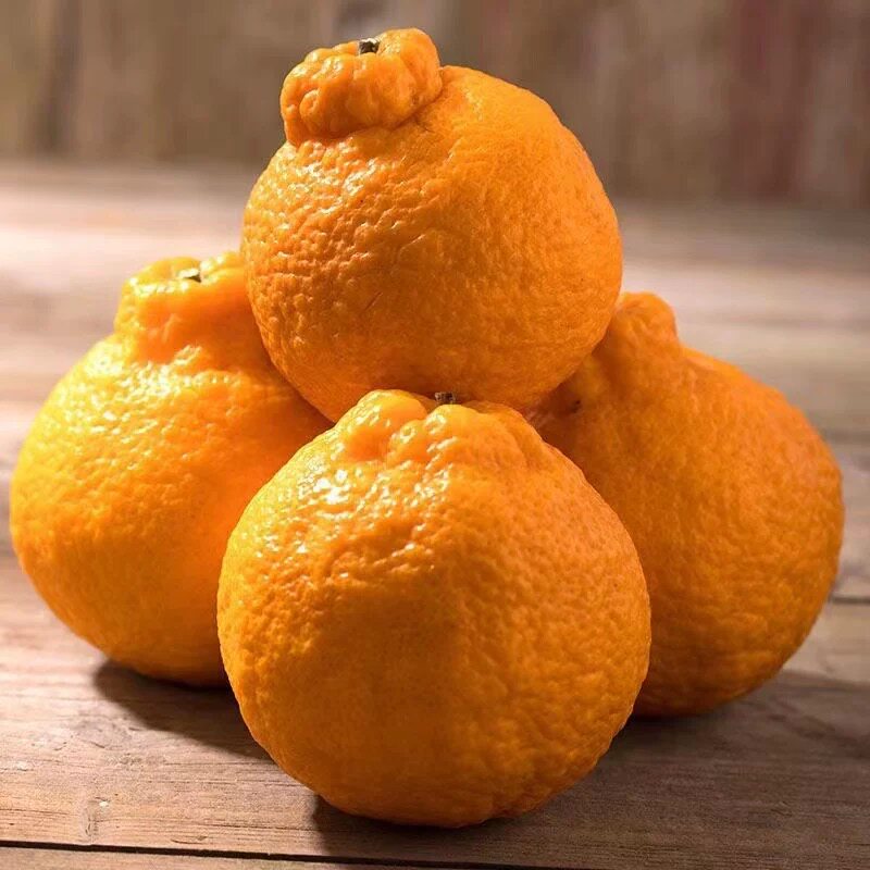 【芭芭农场兑换专享】不知火丑橘3斤装70mm+