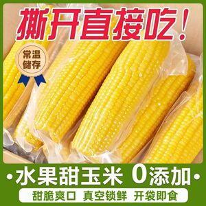【平晏铺子】真空包装东北糯黄玉米250g*8根