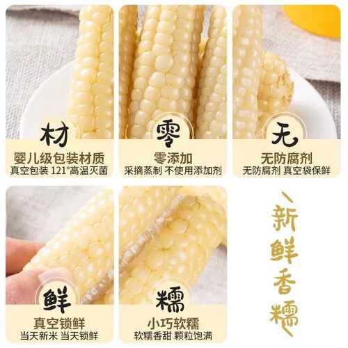 东北白糯玉米香甜拉丝粗粮独立包装甜糯玉米白玉米新鲜香糯外出 - 图3