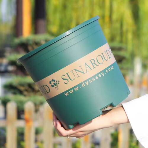 花盆塑料2024树脂多肉绿萝月季加仑盆栽加厚透气阳台耐用种植托盘 - 图1