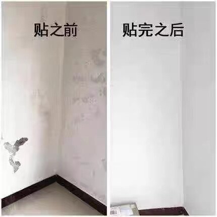 家具墙纸自粘防水防潮可擦洗卧室温馨自贴壁纸纯白色翻新宿舍贴纸 - 图0
