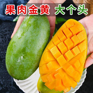正宗越南大青芒当季热带新鲜水果现摘青皮芒果整箱特大果包邮