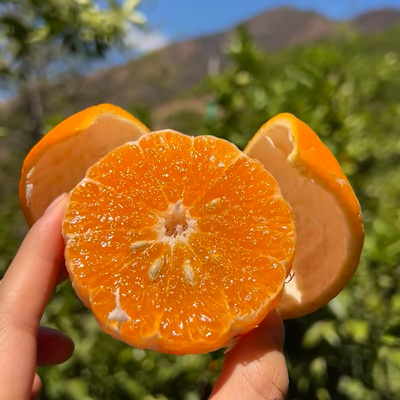 正宗云南爆甜沃柑爱媛新鲜桔子应当季孕妇水果柑橘子非广西武鸣县