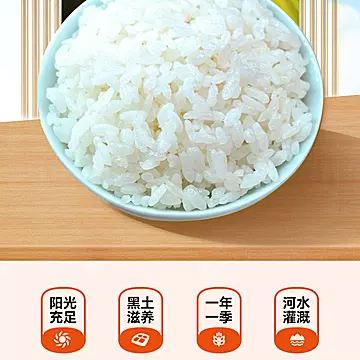 补贴到手23.51！！正宗东北香米10斤[6元优惠券]-寻折猪