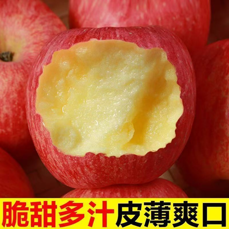 【冰糖心】正宗红富士苹果新鲜时令孕妇水果现摘现发苹果脆甜爆汁