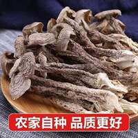 【果官宣】高档净重鹿茸菇500g