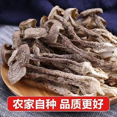 净重鹿茸菇干货整根火锅食材