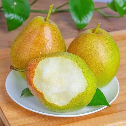 正宗香梨梨子水果新鲜当季整箱现摘脆甜红香酥9斤大果特价精选 - 图1