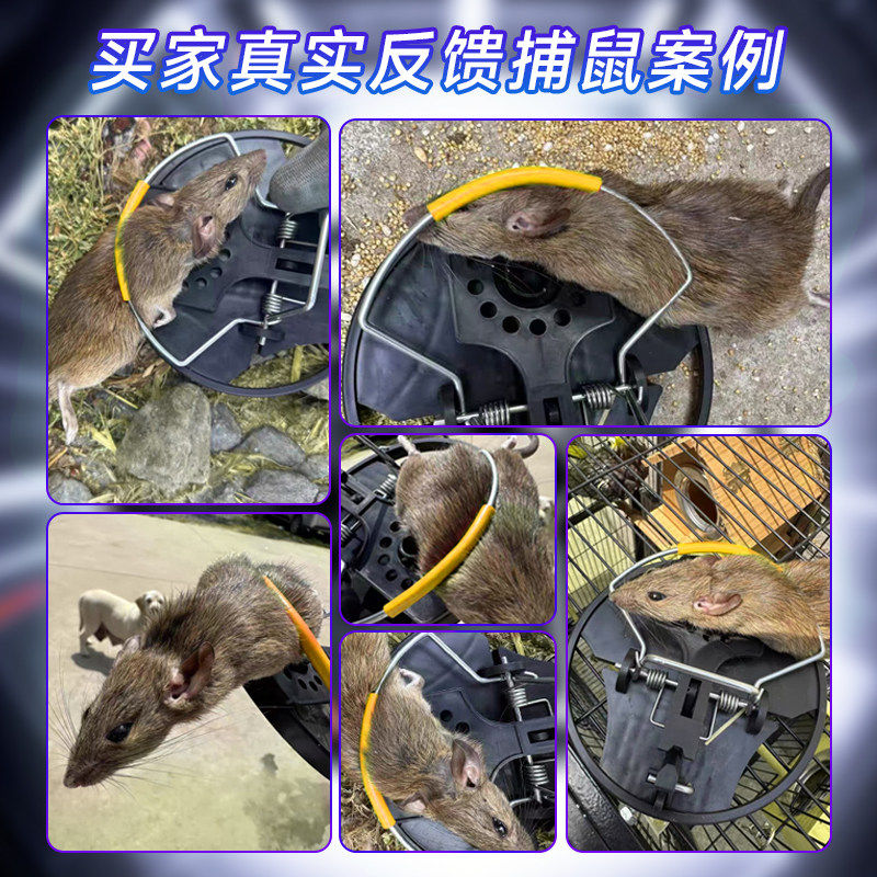 新款老鼠夹强力捕鼠神器超灵敏家用老鼠扑捉器高效逮灭抓耗子,淘宝优惠券,粉丝福利购,淘宝优惠卷