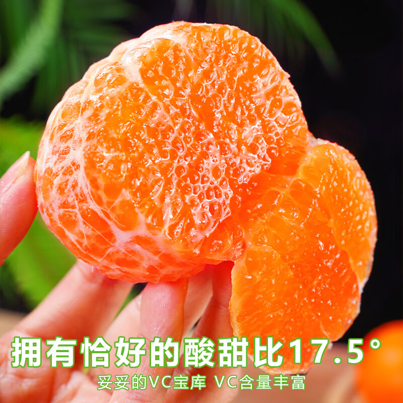 云南宾川高原沃柑新鲜水果当季大理柑橘桔子甜现摘大果果园 - 图0