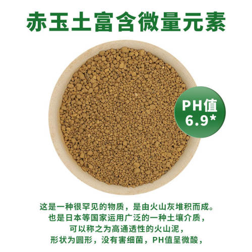 进口赤玉土三本线正品日本原装多肉颗粒土盆景专用铺面硬质营养土 - 图3