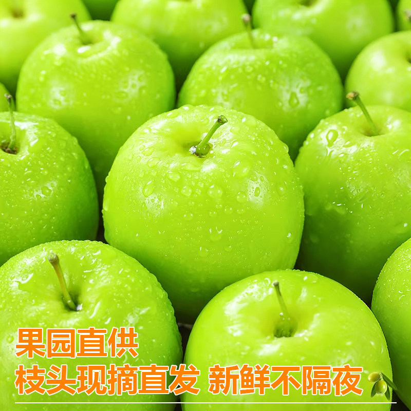 正宗云南牛奶大青枣脆甜新鲜水果苹果枣子冬枣当季整箱奶油脆枣,淘宝优惠券,粉丝福利购,淘宝优惠卷