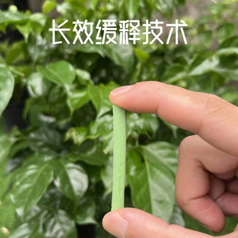 植物缓释营养棒花肥家用盆栽养花通用型月季多肉绿植缓释肥片园艺 - 图1