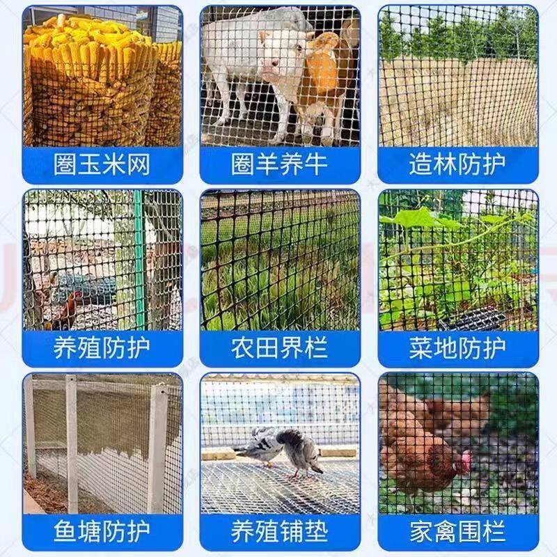 塑料网养鸡鸭围栏网菜地果园防护网圈山养殖围网拦网菜园玉米土工