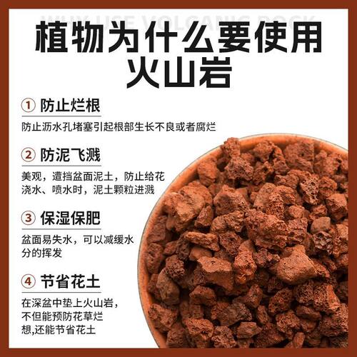 火山石颗粒多肉兰花专用颗粒土铺面石鱼缸底砂滤材火山岩花盆土壤 - 图1