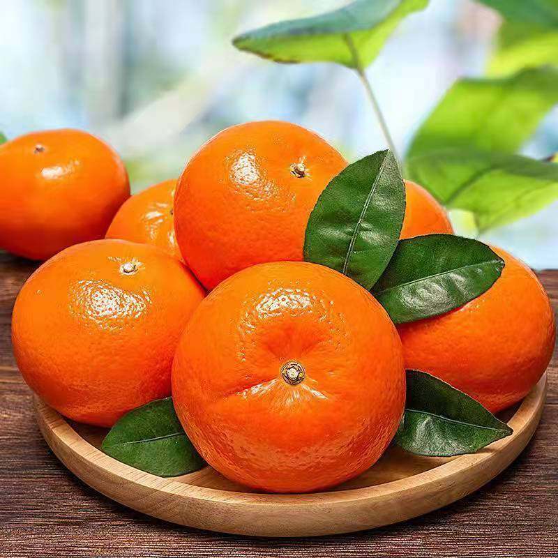 爆甜多汁正宗广西武鸣沃柑新鲜水果橘子当季桔子沙糖整箱年货节,淘宝优惠券,粉丝福利购,淘宝优惠卷
