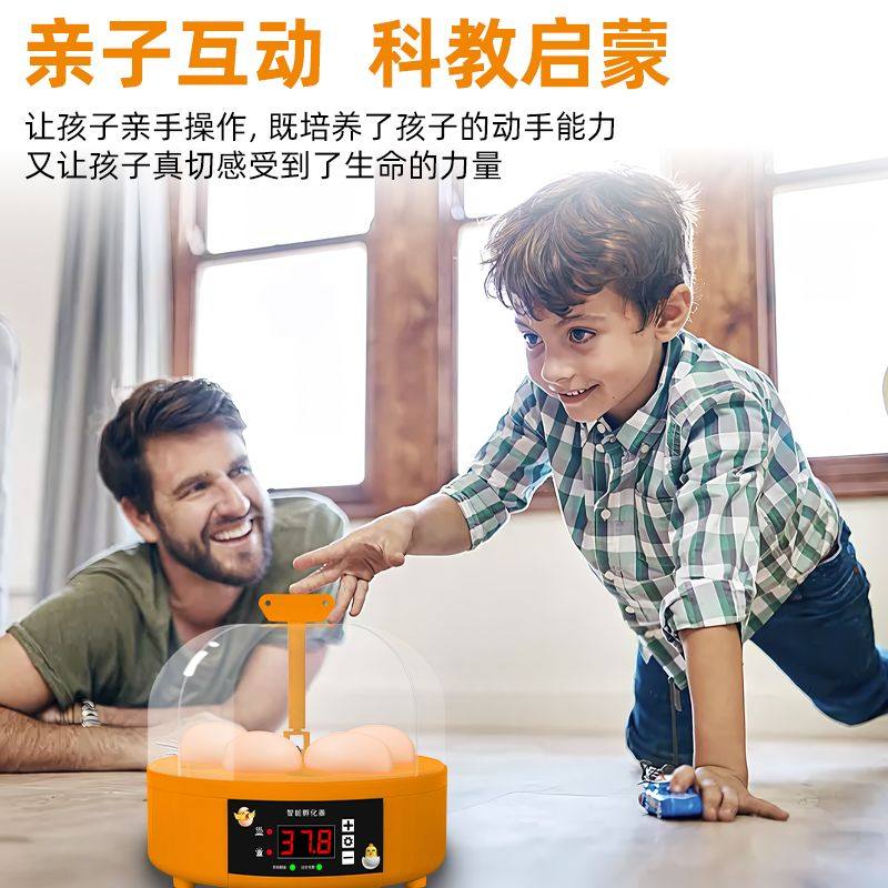 孵化器小型家用全自动智能儿童孵蛋器鹦鹉芦丁鸡小鸟蛋孵化箱小鸡,淘宝优惠券,粉丝福利购,淘宝优惠卷