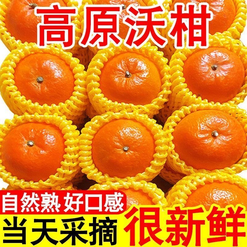 现摘新鲜沃柑水果当季沙糖砂糖柑橘大原产地皇后源头大果新鲜