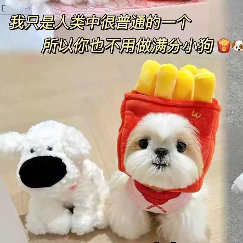 大鼻子狗毛绒小狗搞怪公仔玩具薯条面包娃娃抱睡玩偶女孩生日礼物 - 图3