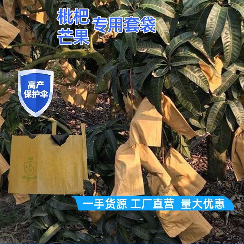 枇杷套袋专用袋枇杷袋子芒果套袋水果套袋防鸟虫防水防晒厂家直销 - 图0