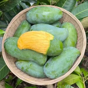 【农场自营】正宗广西百色桂七芒净重4.5斤