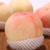 陕西新鲜高山现摘水蜜桃带箱4.5斤