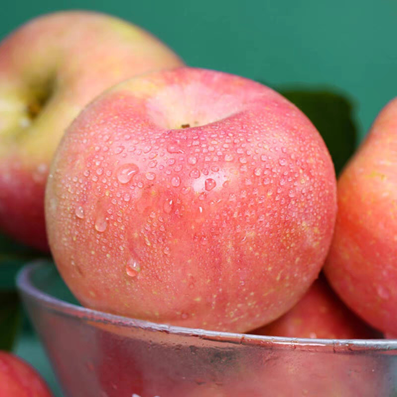 红富士苹果新鲜水果红富士山东特产脆甜整箱包邮当季一级果