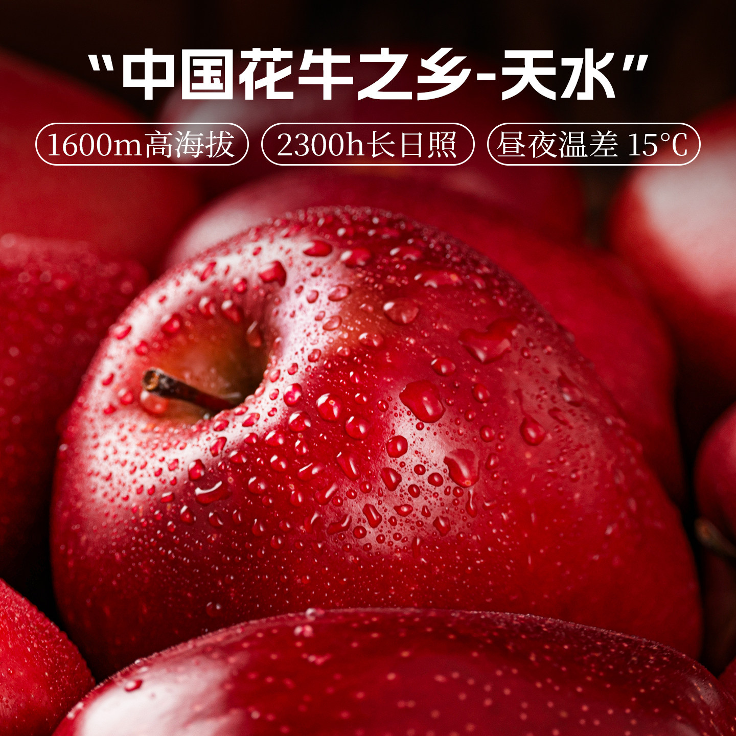 甘肃天水花牛苹果新鲜水果时令红蛇果冰糖心沙果10斤整箱,淘宝优惠券,粉丝福利购,淘宝优惠卷