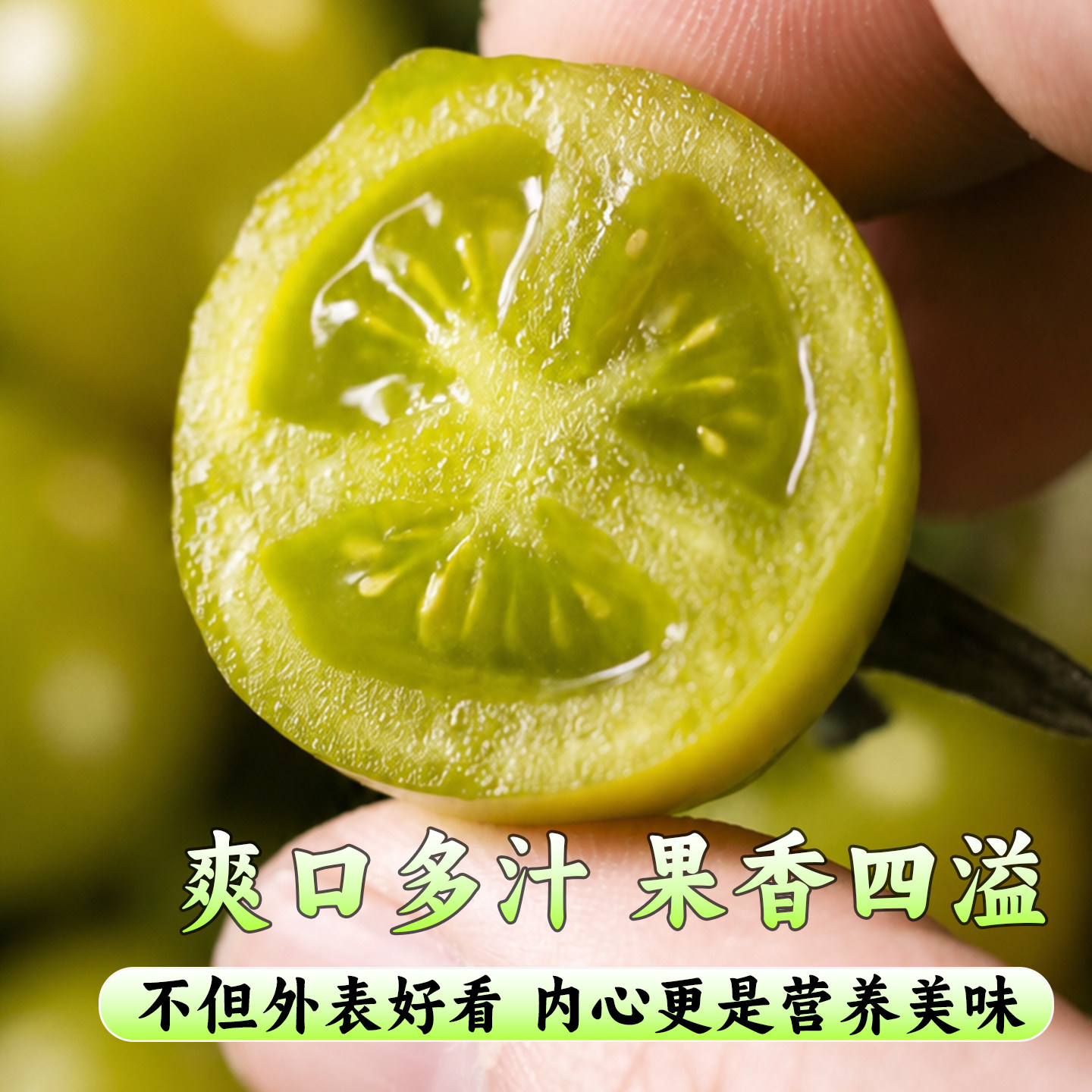 清甜2号圣女果绿番茄青番茄西红柿农家现摘现发新鲜水果直达嫩甜