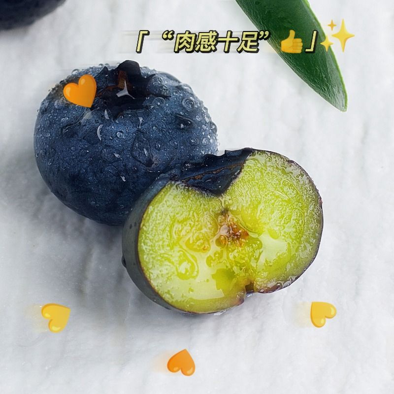 【顺丰】蓝莓新鲜当季水果蓝梅鲜果蓝莓孕妇即食大果速发 - 图2