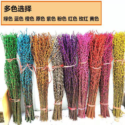 银柳鲜枝真花年宵花卉红色干花福桶银柳水培植物鲜花客厅室内装饰 - 图2