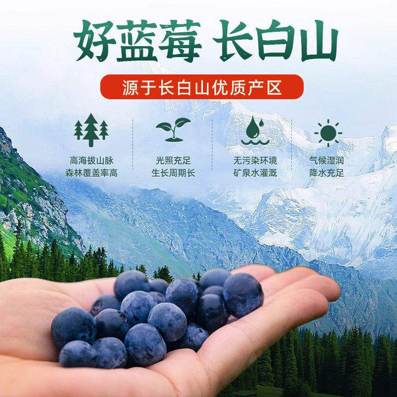 农科院蓝莓干无糖精无添加长白山果干独立包装烘焙正品官方旗舰店,淘宝优惠券,粉丝福利购,淘宝优惠卷