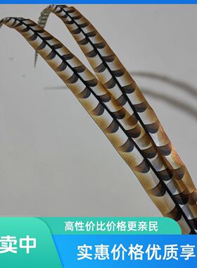 仿真翎子戏剧演出舞蹈头饰京剧歌舞花旦专用学生会演孙悟空翎子