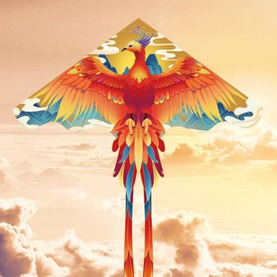 正品限量特价 3/6/9号美式皮质橄榄球儿童青少年成人专业训练比赛