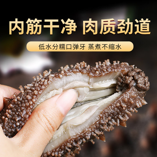 优质即食海参辽刺参即食500g鲜活辽参海生刺参单个真空独立包装