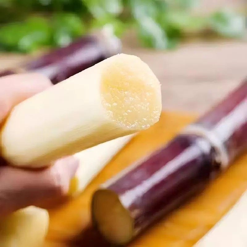 广西黑皮甘蔗新鲜现砍直发当季新鲜水果包邮一级甘蔗特产脆甜榨汁,淘宝优惠券,粉丝福利购,淘宝优惠卷