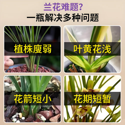 兰花多箭素爆芽素专用营养液剑催花延治黄叶肥料水溶肥开花植物 - 图0