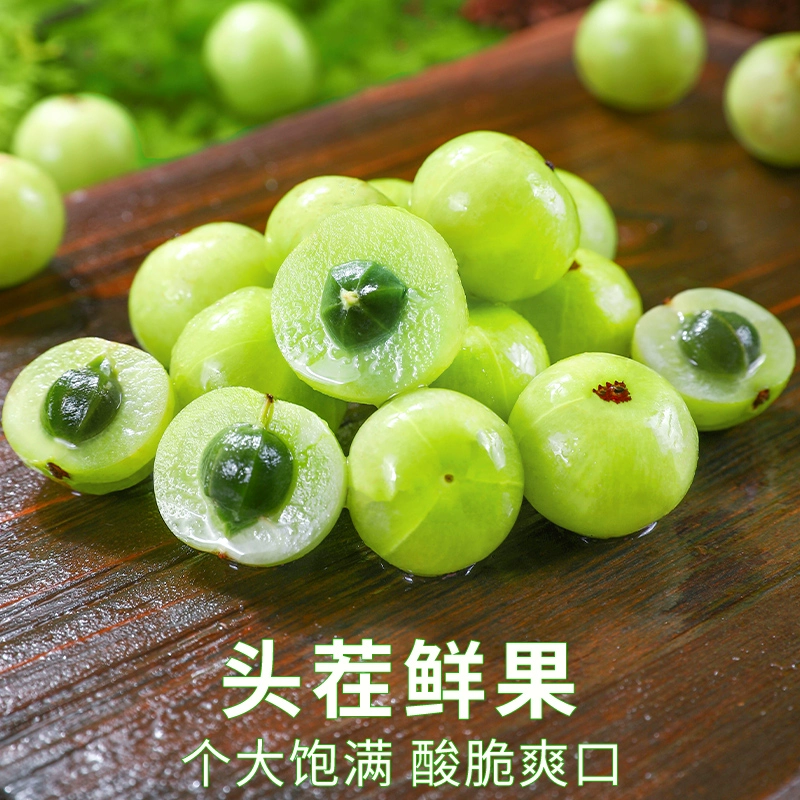 潮汕普宁崩坎甜油柑新鲜油甘果牛甘果余甘果滇橄榄甜种甜油甘包邮 - 图0