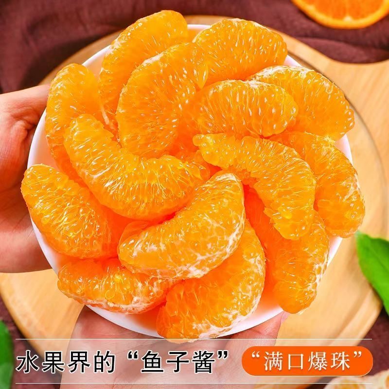 正宗四川眉山春见耙耙柑手剥桔子现采直发甜蜜多汁应季水果桔子