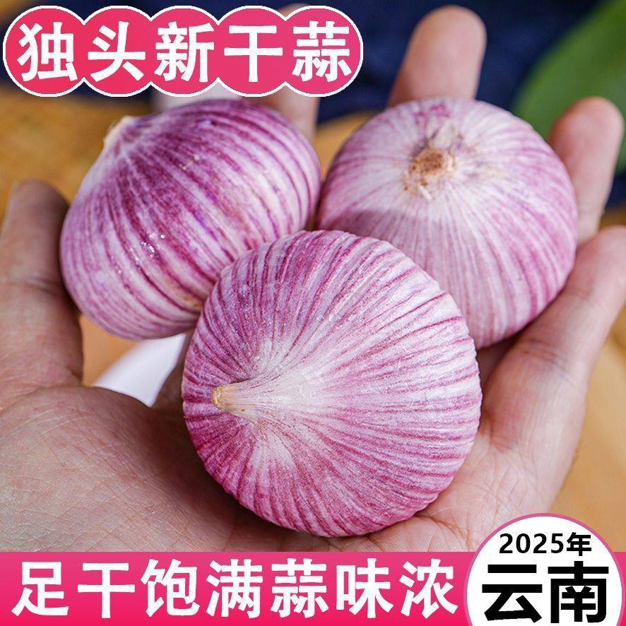 云南大理紫皮独头蒜3.0-3.5cm5斤不熏硫 蒜香浓耐放泡醋炒菜佳,淘宝优惠券,粉丝福利购,淘宝优惠卷
