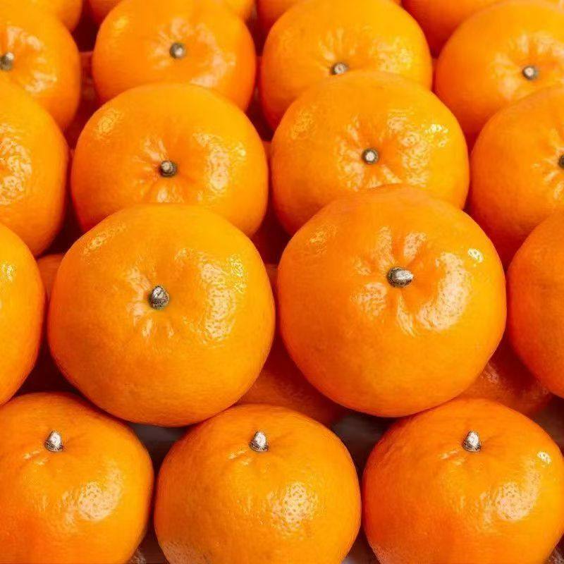 【精选品质】正宗云南高山沃柑当季新鲜水果薄皮超甜桔子整箱包邮,淘宝优惠券,粉丝福利购,淘宝优惠卷