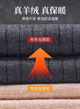 【明星同款】告别膝盖受凉