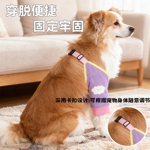 宠物关节防护套金毛大狗狗衣服秋冬保暖护肘护膝边牧中大型犬卡扣 - 图0