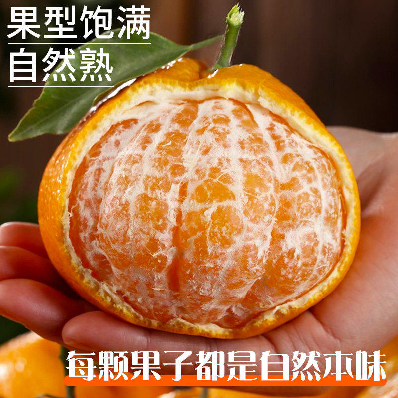 正宗四川春见耙耙柑粑粑柑橘子现摘发货水果应当季新鲜整箱丑桔10,淘宝优惠券,粉丝福利购,淘宝优惠卷
