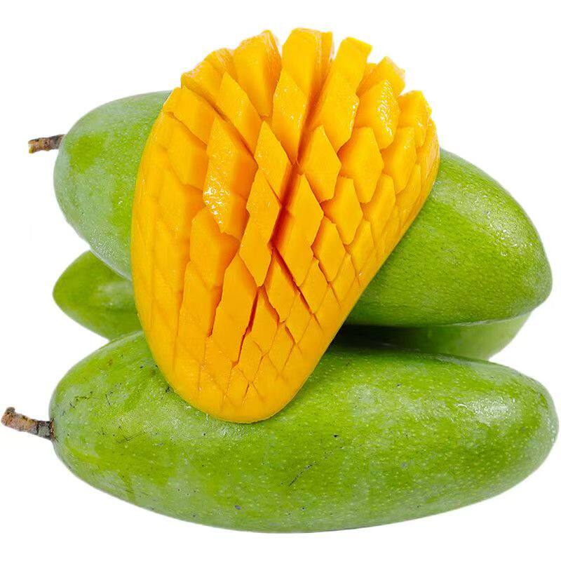 正宗精选玉芒4.5斤净重一箱