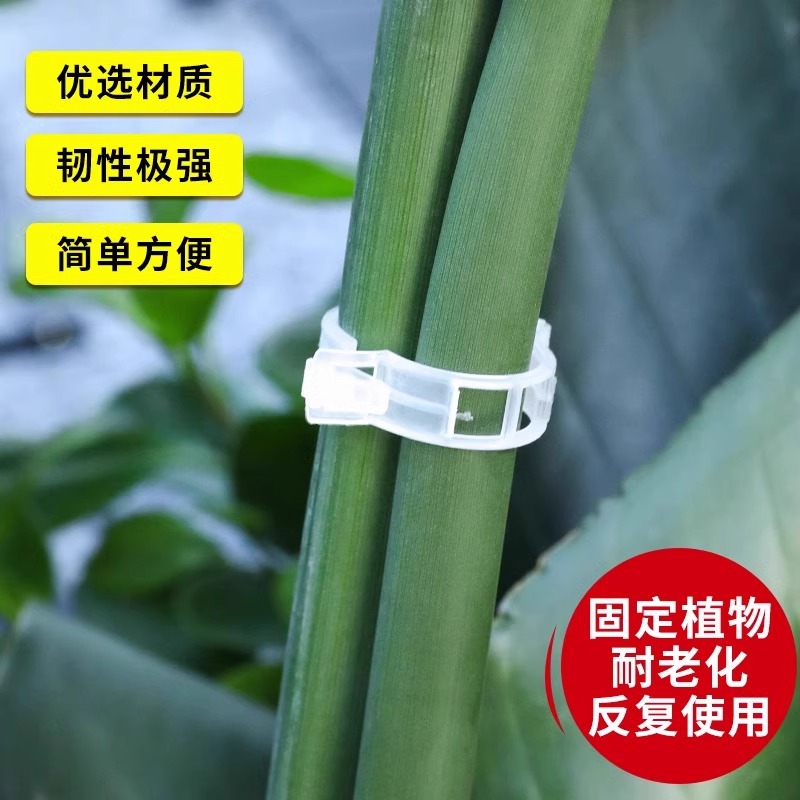 植物瓜果夹塑料绑蔓夹绑枝夹吊蔓夹扶蔓夹西红柿夹藤蔓固定夹大棚-图1